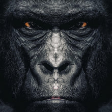 Lade das Bild in den Galerie-Viewer, Leinwandbild Gorilla Portrait Quadrat