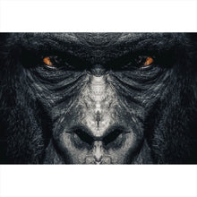 Lade das Bild in den Galerie-Viewer, Poster Gorilla Portrait Querformat