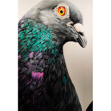 Lade das Bild in den Galerie-Viewer, Poster Graue Taube Hochformat