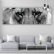 Lade das Bild in den Galerie-Viewer, Aluminiumbild gebürstet Green Eye Lion Panorama