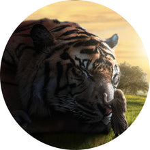 Lade das Bild in den Galerie-Viewer, Aluminiumbild gebürstet Großer Tiger mit Frau Kreis
