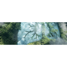 Lade das Bild in den Galerie-Viewer, Poster Grüne Lunge des Planeten Panorama