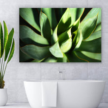 Lade das Bild in den Galerie-Viewer, Aluminiumbild Grüne Sukkulente Querformat