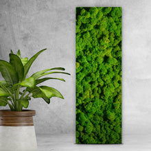 Lade das Bild in den Galerie-Viewer, Acrylglasbild Hellgrünes Moos Panorama Hoch