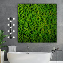 Lade das Bild in den Galerie-Viewer, Aluminiumbild gebürstet Hellgrünes Moos Quadrat