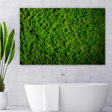 Lade das Bild in den Galerie-Viewer, Aluminiumbild gebürstet Hellgrünes Moos Querformat