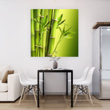 Lade das Bild in den Galerie-Viewer, Acrylglasbild Grüner Bambus Quadrat
