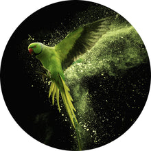 Lade das Bild in den Galerie-Viewer, Aluminiumbild Grüner Papagei Kreis