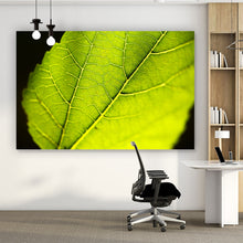 Lade das Bild in den Galerie-Viewer, Aluminiumbild Grünes Blatt auf Schwarz Querformat