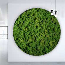 Lade das Bild in den Galerie-Viewer, Aluminiumbild Hellgrünes Moos Kreis