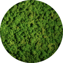 Lade das Bild in den Galerie-Viewer, Aluminiumbild gebürstet Hellgrünes Moos Kreis