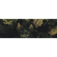 Lade das Bild in den Galerie-Viewer, Acrylglasbild Herbstbäume im Wald Panorama