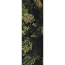 Lade das Bild in den Galerie-Viewer, Spannrahmenbild Herbstbäume im Wald Panorama Hoch