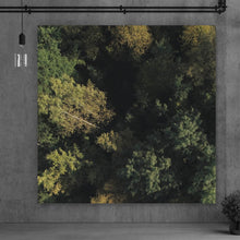 Lade das Bild in den Galerie-Viewer, Acrylglasbild Herbstbäume im Wald Quadrat