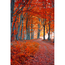 Lade das Bild in den Galerie-Viewer, Aluminiumbild Herbstmorgen im Wald Hochformat