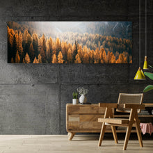 Lade das Bild in den Galerie-Viewer, Poster Herbstwald No.1 Panorama