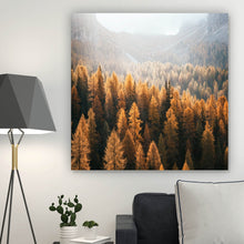 Lade das Bild in den Galerie-Viewer, Poster Herbstwald No.1 Quadrat