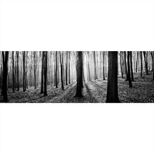 Lade das Bild in den Galerie-Viewer, Aluminiumbild gebürstet Herbstwald Schwarz Weiß Panorama
