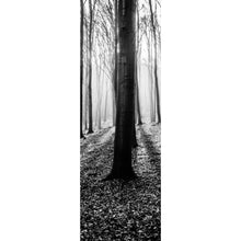 Lade das Bild in den Galerie-Viewer, Acrylglasbild Herbstwald Schwarz Weiß Panorama Hoch