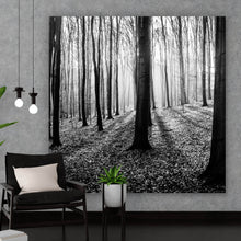 Lade das Bild in den Galerie-Viewer, Spannrahmenbild Herbstwald Schwarz Weiß Quadrat