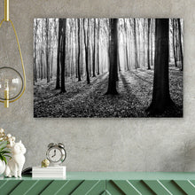 Lade das Bild in den Galerie-Viewer, Aluminiumbild Herbstwald Schwarz Weiß Querformat