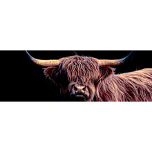 Lade das Bild in den Galerie-Viewer, Aluminiumbild Highland Rind auf Schwarz Panorama