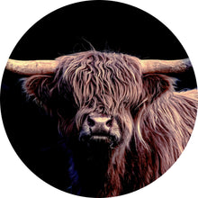 Lade das Bild in den Galerie-Viewer, Aluminiumbild Highland Rind auf Schwarz Kreis