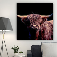 Lade das Bild in den Galerie-Viewer, Aluminiumbild Highland Rind auf Schwarz Quadrat
