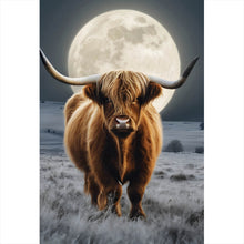 Lade das Bild in den Galerie-Viewer, Poster Highland Rind im Mondschein Hochformat