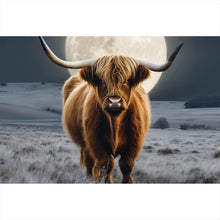 Lade das Bild in den Galerie-Viewer, Aluminiumbild Highland Rind im Mondschein Querformat