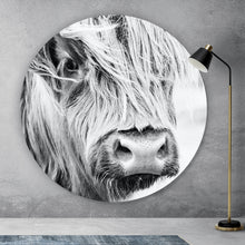 Lade das Bild in den Galerie-Viewer, Aluminiumbild gebürstet Highland Rind Kreis