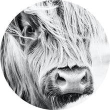 Lade das Bild in den Galerie-Viewer, Aluminiumbild gebürstet Highland Rind Kreis