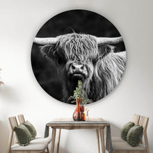 Lade das Bild in den Galerie-Viewer, Aluminiumbild gebürstet Highland Rind Schwarz-Weiß Kreis