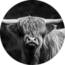 Lade das Bild in den Galerie-Viewer, Aluminiumbild gebürstet Highland Rind Schwarz-Weiß Kreis