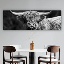 Lade das Bild in den Galerie-Viewer, Aluminiumbild Highland Rind Schwarz-Weiß Panorama
