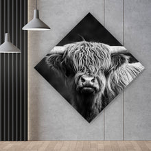 Lade das Bild in den Galerie-Viewer, Aluminiumbild Highland Rind Schwarz-Weiß Raute