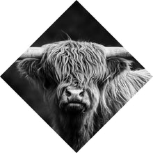Lade das Bild in den Galerie-Viewer, Leinwandbild Highland Rind Schwarz-Weiß Raute