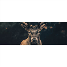 Lade das Bild in den Galerie-Viewer, Aluminiumbild Hirsch am düsteren Waldrand Panorama