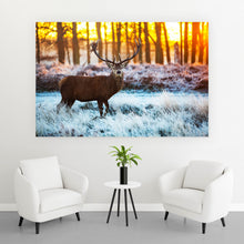 Lade das Bild in den Galerie-Viewer, Poster Hirsch am Waldrand Querformat