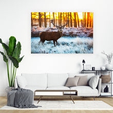 Lade das Bild in den Galerie-Viewer, Poster Hirsch am Waldrand Querformat