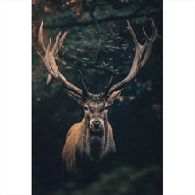 Lade das Bild in den Galerie-Viewer, Aluminiumbild Hirsch am düsteren Waldrand Hochformat