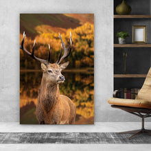 Lade das Bild in den Galerie-Viewer, Aluminiumbild gebürstet Hirsch am Waldsee Hochformat