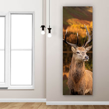 Lade das Bild in den Galerie-Viewer, Aluminiumbild Hirsch am Waldsee Panorama Hoch