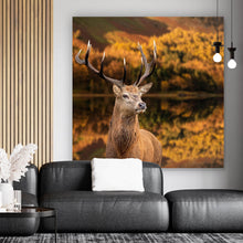 Lade das Bild in den Galerie-Viewer, Aluminiumbild gebürstet Hirsch am Waldsee Quadrat