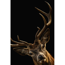 Lade das Bild in den Galerie-Viewer, Aluminiumbild gebürstet Hirsch auf Schwarz Hochformat
