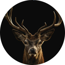 Lade das Bild in den Galerie-Viewer, Aluminiumbild gebürstet Hirsch auf Schwarz Kreis