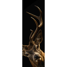 Lade das Bild in den Galerie-Viewer, Leinwandbild Hirsch auf Schwarz Panorama Hoch