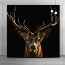 Lade das Bild in den Galerie-Viewer, Aluminiumbild gebürstet Hirsch auf Schwarz Quadrat