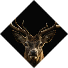 Lade das Bild in den Galerie-Viewer, Aluminiumbild gebürstet Hirsch auf Schwarz Raute