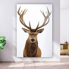 Lade das Bild in den Galerie-Viewer, Leinwandbild Hirsch auf Weiss Hochformat